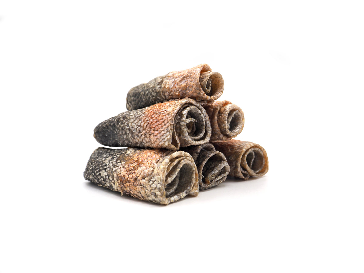Lachs Rolls